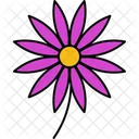 Aster Flor De Aster Flor Icono