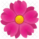 Astra Rosa Nature Icon