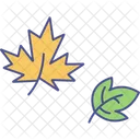 Autumn Leaf Leaves Icon