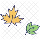 Autumn Leaf Leaves Icon