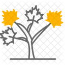 Autumn Tree  Icon