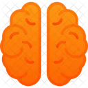 Awareness Brain Brainstorming Icon