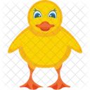 Baby Chicken Chick Farm Animal Icon