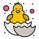 Baby Chicken  Icon