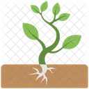 Baby Plant Soil Icon