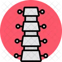 Backbone  Icon