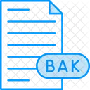 Backup File  Icon