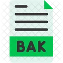 Backup File  Icon