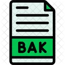 Backup File  Icon