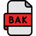 Backup File  Icon