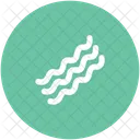 Bacon  Icon