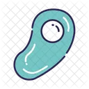 Bacteria Icon