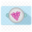 Bacteria Preview Analysis Icon