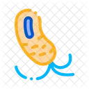 Bacteria  Icon