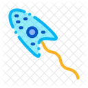 Bacteria  Icon