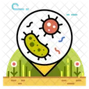 Soil Microorganism Bacteria Icon