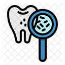 Bacteria Premolar Dental Icon