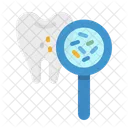 Bacteria Premolar Dental Icon