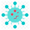 Bacteria Virus Microorganism Icon