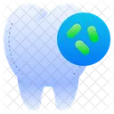 Bacteria Dental Care Dentist Icon