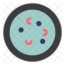 Bacteria  Icon