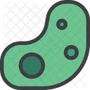 Bacteria  Icon