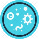 Bacteria  Icon