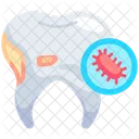 Bacteria  Icon