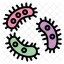 Bacteria  Icon