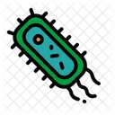 Bacteria  Icon