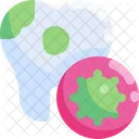 Chroma Icon