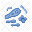 Bacteria  Icon