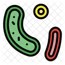 Bacteria Virus Coronavirus Icon