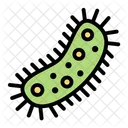 Bacteria  Icon