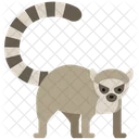 Animal Pet Wild Animal Icon