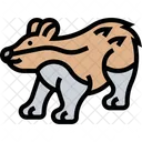 Badger Wildlife Animal Icon