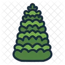 Balsam Fir Tree Botanical Symbol