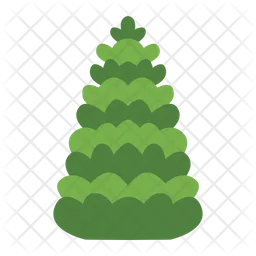 Balsam Fir  Icon