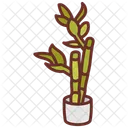 Bamboo  Icon