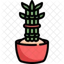 Bamboo Pot Plant Icon