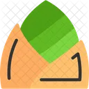 Bamboo shoot  Icon