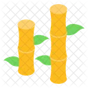 Bamboo Shoots Bamboo Stalks Bamboo Plants Icon