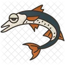 Barrakuda Meereskultur Fisch Symbol