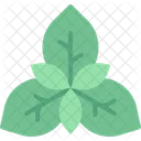 Basil Leaf Vegan Symbol