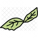 Basil Food Vegetable Symbol