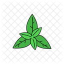 Basil Symbol