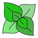 Herb Leaves Mint Symbol