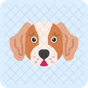 Basset hound  Icon