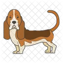 Basset Hound  Icon