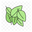 Bay leaf  Icon